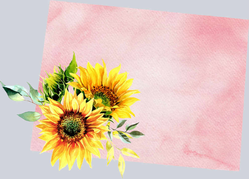 DTF Transfer Colorado - Sunflower Watercolor