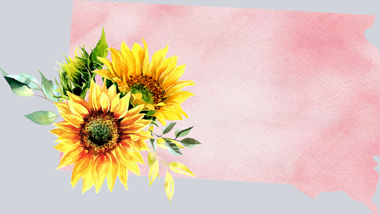 DTF Transfer South Dakota - Sunflower Watercolor