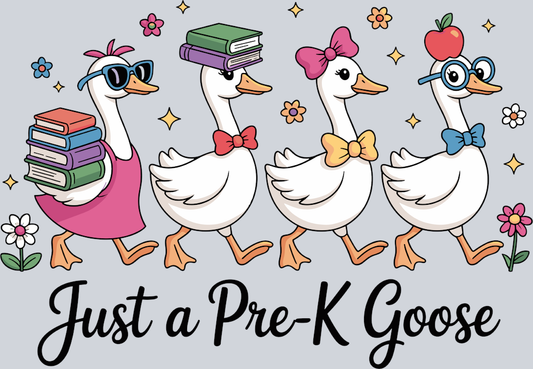 DTF Transfer Fowl - Just a Pre-K Goose