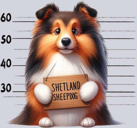 DTF Transfer Dogs - Jail  Shetland Sheepdog