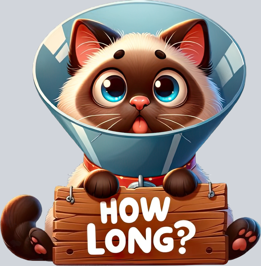 DTF Transfer Cats - How Long Siamese