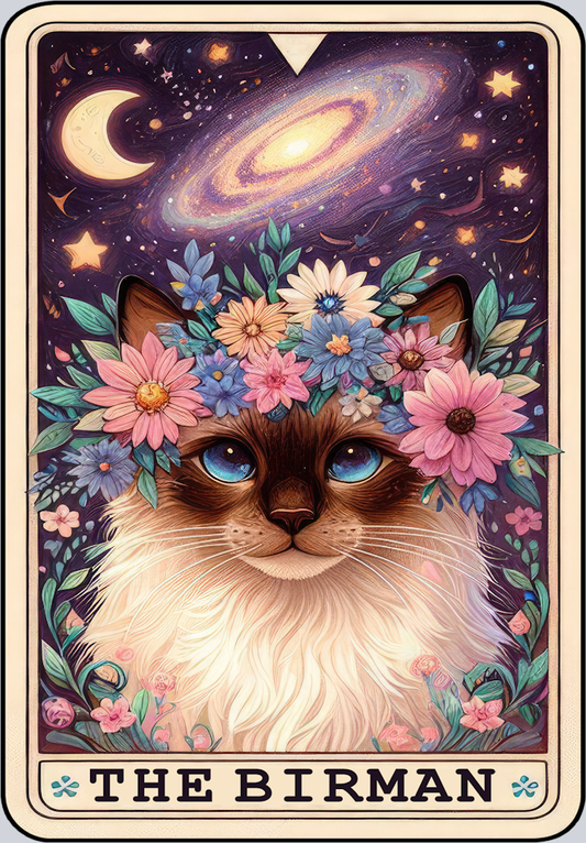 DTF Transfer Cats - Tarot Card Birman