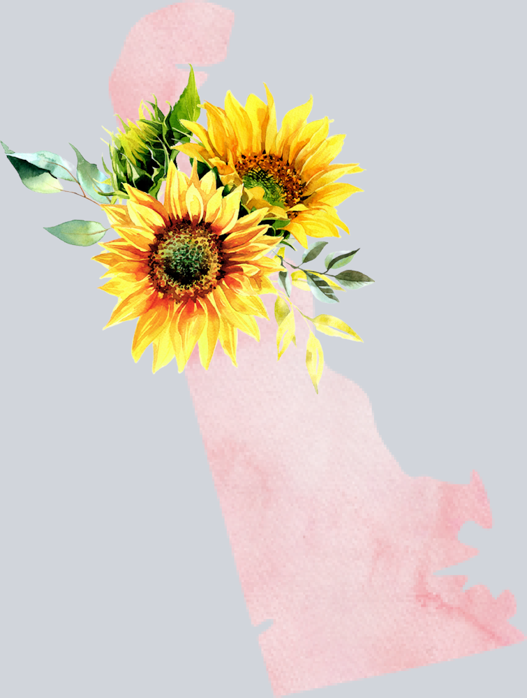 DTF Transfer Delaware - Sunflower Watercolor