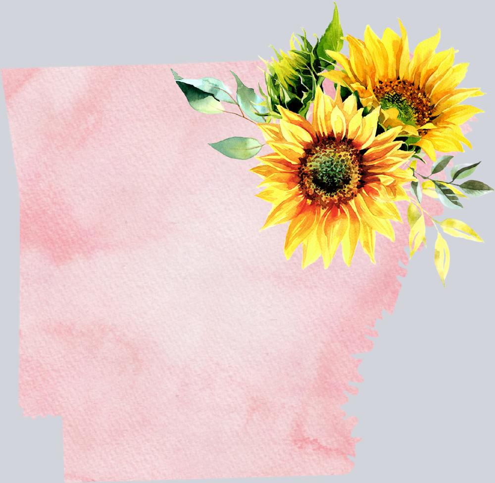 DTF Transfer Arkansas - Sunflower Watercolor