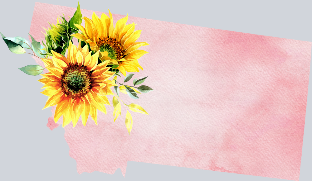 DTF Transfer Montana - Sunflower Watercolor