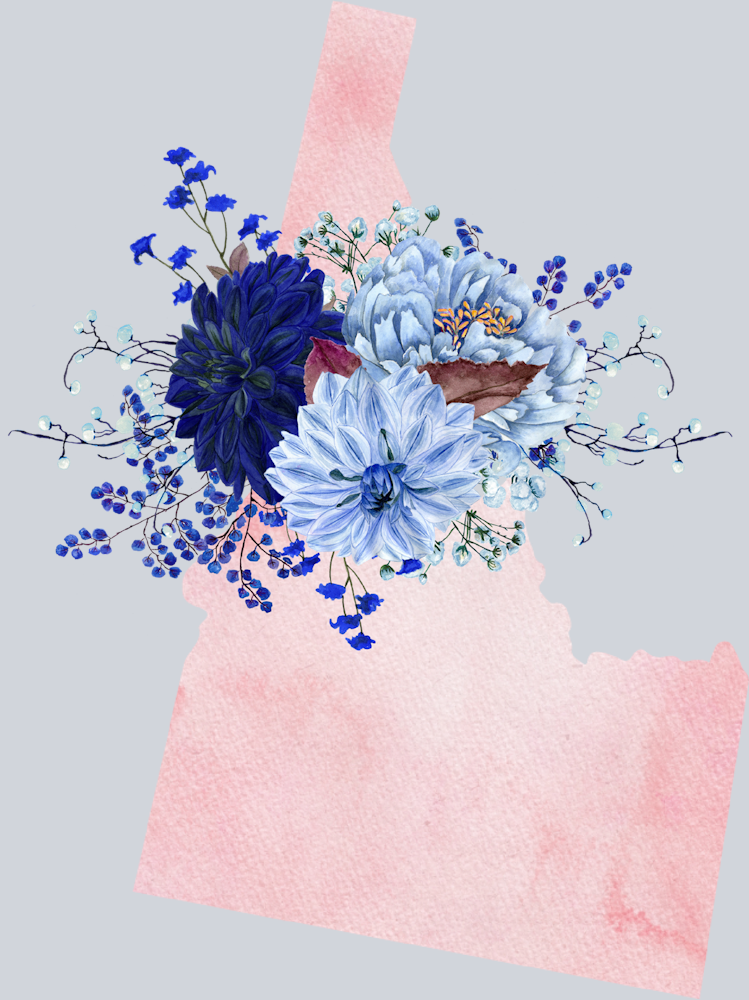 DTF Transfer Idaho - Flowers Watercolor