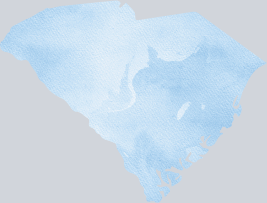 DTF Transfer South Carolina - Watercolor Blue