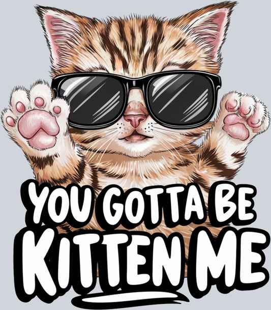 DTF Transfer Cats - You Gotta be Kitten Me