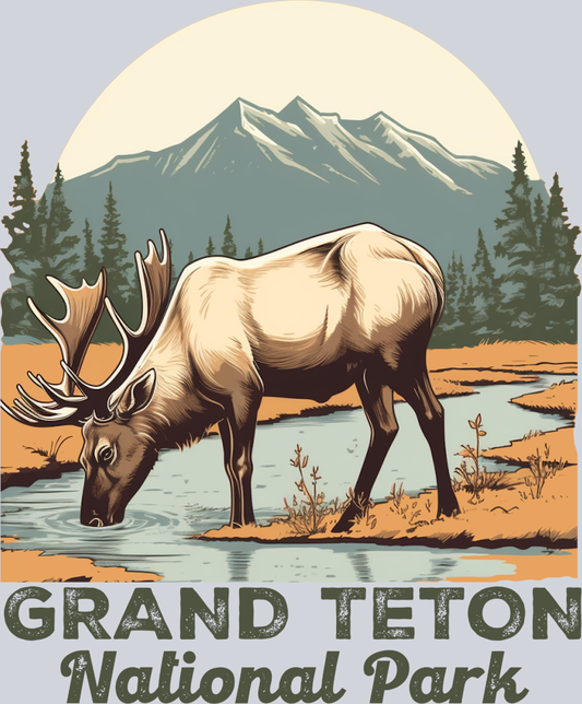 DTF Transfer National Parks - Grand Teton National Park