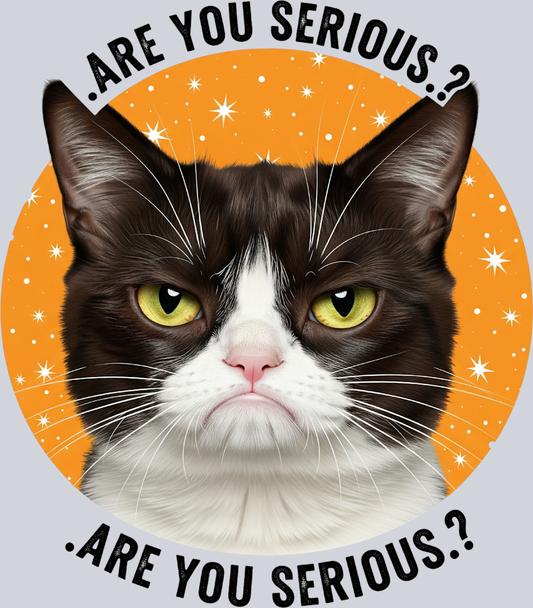 DTF Transfer Cats - Are you Serious Are you Serious